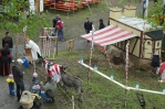 2012-05-06-burgfest-micha-0001.jpg