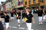 2012-07-08-wiesenfestumzugselb-manu-0047.jpg