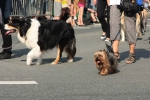 2012-07-27-volksfest-eddi-0104.jpg