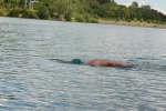 2012-08-12_maxi-ans-ufer-training-eddi-0062.jpg