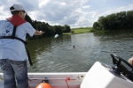 2012-08-12_maxi-ans-ufer-training-eddi-0066.jpg