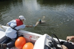 2012-08-12_maxi-ans-ufer-training-eddi-0069.jpg