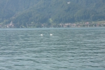 20-08-2012-bodensee-eddi-0059.jpg