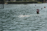 20-08-2012-bodensee-eddi-0065.jpg