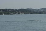 21-08-2012-bodensee-eddi-0128.jpg