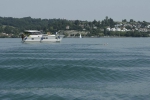 21-08-2012-bodensee-eddi-0131.jpg