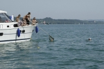 21-08-2012-bodensee-eddi-0154.jpg