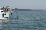 21-08-2012-bodensee-eddi-0155.jpg