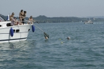 21-08-2012-bodensee-eddi-0156.jpg