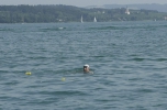 21-08-2012-bodensee-eddi-0158.jpg