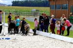 2012-08-26-reitanlageploessen-christian-0023.jpg