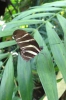 28-08-2012-mainau-nicole-0031.jpg