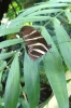 28-08-2012-mainau-nicole-0032.jpg