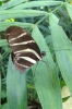 28-08-2012-mainau-nicole-0033.jpg