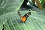 28-08-2012-mainau-nicole-0034.jpg