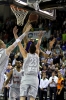 2013-04-13-bbcbayreuthbrosebaskets-christian-0019.jpg