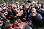 2013-05-05-burgfest-hof-eddi-0029.jpg