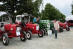 2013-06-09-traktortreffen-eddi-0010.jpg