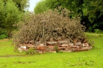 2013-06-29-thiergarten-stefan-0002.jpg