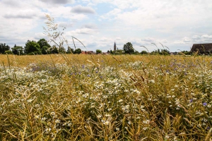 2014-07-05-kirchenlaibach-christian-0105.jpg