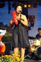 2014-07-06-buergerfestbth-nino-0092.jpg