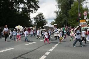 2014-07-14-naila-wiesenfestumzug-eddi-0049.jpg