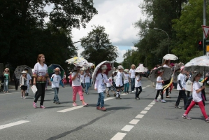 2014-07-14-naila-wiesenfestumzug-eddi-0050.jpg