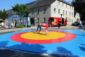 2014-07-19-stadtfest-rehau-robin-0036.jpg