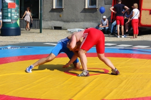 2014-07-19-stadtfest-rehau-robin-0037.jpg