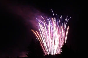 2014-07-19-stadtfest-rehau-robin-0057.jpg