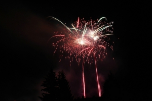 2014-07-19-stadtfest-rehau-robin-0059.jpg