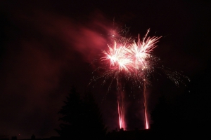 2014-07-19-stadtfest-rehau-robin-0061.jpg