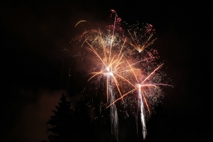 2014-07-19-stadtfest-rehau-robin-0065.jpg