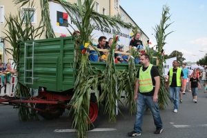 2014-07-25-volksfest-hof-eddi-0068.jpg