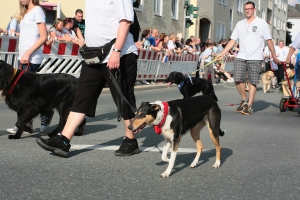 2014-07-25-volksfest-hof-eddi-0192.jpg