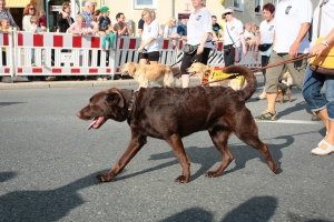 2014-07-25-volksfest-hof-eddi-0195.jpg