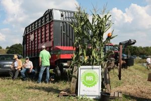 2014-09-07-unimog-mb-trac-treffen-eddi-0013.jpg