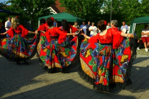 2015-06-06-kulturfestspeichersdorf-nino-0166.jpg