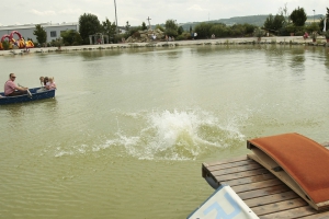 2015-07-19-dirndl-flugtag-eddi-0057.jpg