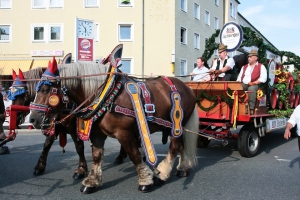 2015-07-24-volksfestumzug-bieranstich-eddi-0252.jpg