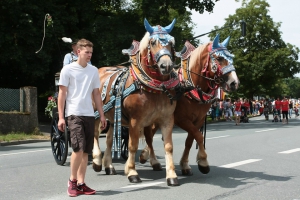 2016-07-11-naila-festzug-eddi-0010.jpg