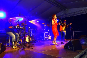 2016-07-30-sommernachtsfestbth-nino-0013.jpg