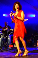 2016-07-30-sommernachtsfestbth-nino-0090.jpg