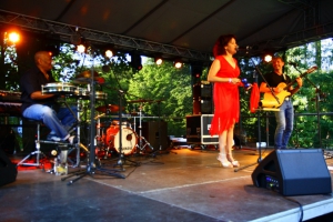 2016-07-30-sommernachtsfestbth-nino-0177.jpg