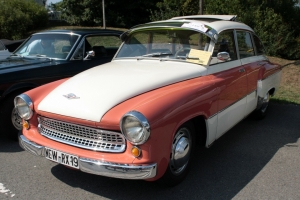 2019-08-31-kemnatholdtimertreffen-nino-0035.jpg